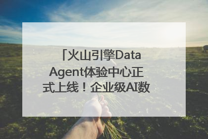 火山引擎Data Agent体验中心正式上线！企业级AI数据专家触手可及
