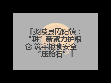 炎陵县霞阳镇：“耕”新聚力护粮仓 筑牢粮食安全“压舱石”