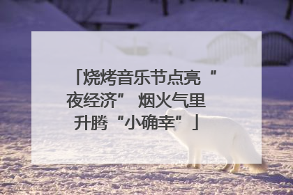 烧烤音乐节点亮“夜经济” 烟火气里升腾“小确幸”