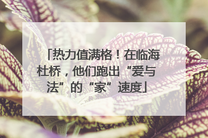 热力值满格！在临海杜桥，他们跑出“爱与法”的“家”速度