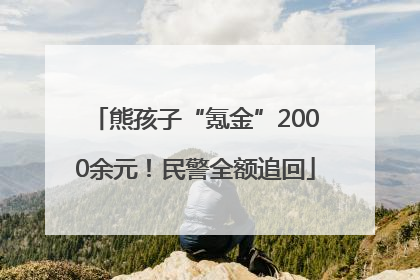 熊孩子“氪金”2000余元！民警全额追回