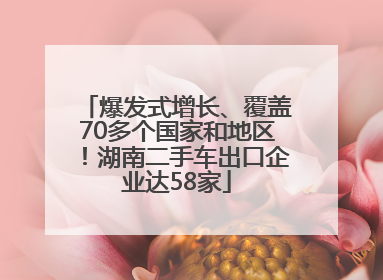 爆发式增长、覆盖70多个国家和地区！湖南二手车出口企业达58家