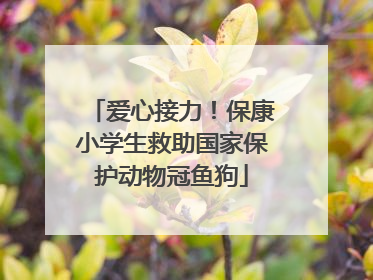 爱心接力！保康小学生救助国家保护动物冠鱼狗