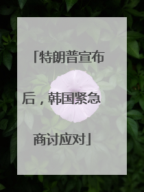 特朗普宣布后，韩国紧急商讨应对
