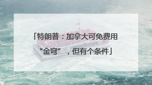 特朗普：加拿大可免费用“金穹”，但有个条件