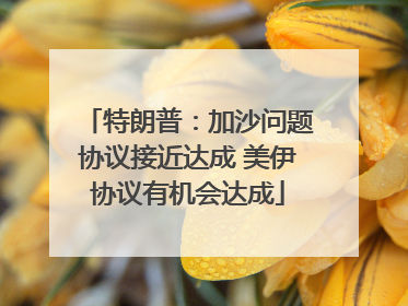 特朗普：加沙问题协议接近达成 美伊协议有机会达成