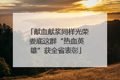 献血献浆同样光荣 娄底这群“热血英雄”获全省表彰