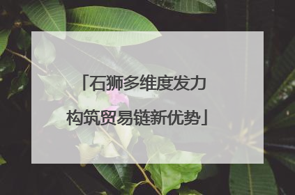 石狮多维度发力 构筑贸易链新优势