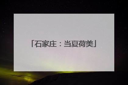 石家庄：当夏荷美