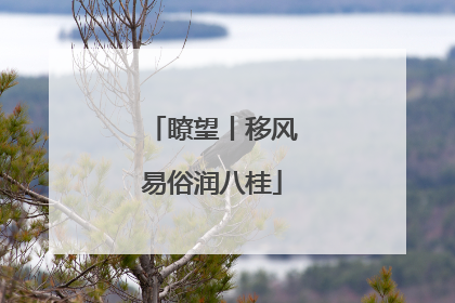 瞭望丨移风易俗润八桂