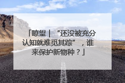 瞭望｜“还没被充分认知就难觅其踪”，谁来保护新物种？