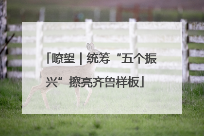 瞭望｜统筹“五个振兴”擦亮齐鲁样板