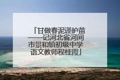 甘做春泥谨护苗——记河北省河间市景和镇初级中学语文教师程桂霞