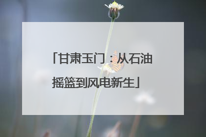 甘肃玉门：从石油摇篮到风电新生