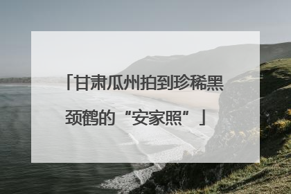 甘肃瓜州拍到珍稀黑颈鹤的“安家照”