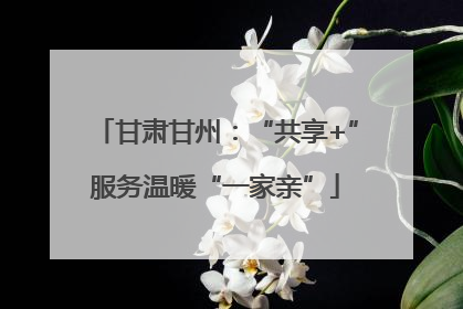 甘肃甘州：“共享+”服务温暖“一家亲”
