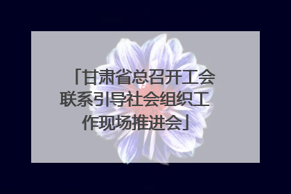 甘肃省总召开工会联系引导社会组织工作现场推进会