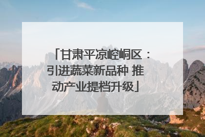 甘肃平凉崆峒区：引进蔬菜新品种 推动产业提档升级