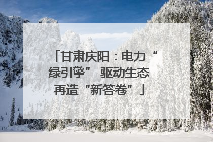 甘肃庆阳：电力“绿引擎” 驱动生态再造“新答卷”
