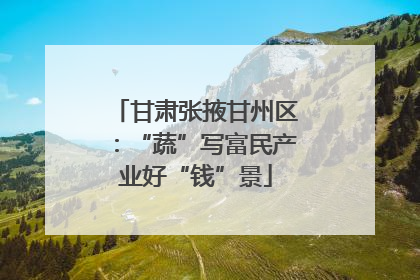 甘肃张掖甘州区：“蔬”写富民产业好“钱”景