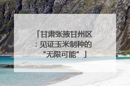 甘肃张掖甘州区：见证玉米制种的“无限可能”