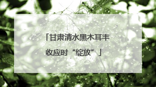 甘肃清水黑木耳丰收应时“绽放”