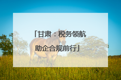 甘肃：税务领航 助企合规前行