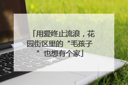 用爱终止流浪，花园街区里的“毛孩子”也想有个家