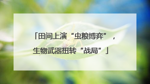 田间上演“虫粮博弈”，生物武器扭转“战局”