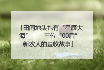 田间地头也有“星辰大海”——三位“00后”新农人的夏收故事
