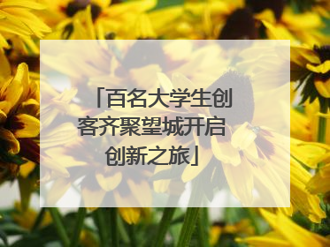 百名大学生创客齐聚望城开启创新之旅