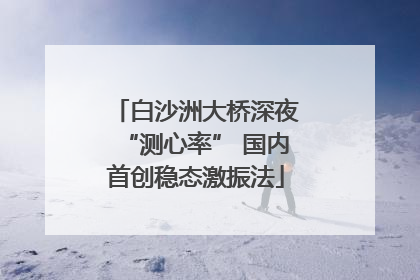 白沙洲大桥深夜“测心率” 国内首创稳态激振法