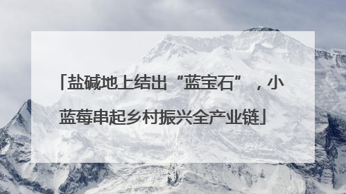 盐碱地上结出“蓝宝石”，小蓝莓串起乡村振兴全产业链
