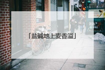 盐碱地上麦香溢