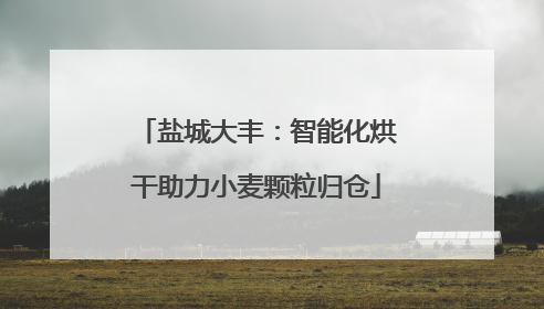 盐城大丰：智能化烘干助力小麦颗粒归仓