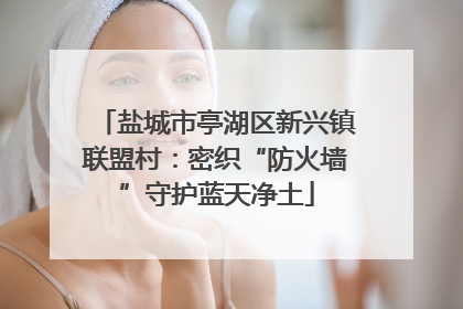 盐城市亭湖区新兴镇联盟村：密织“防火墙”守护蓝天净土