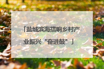盐城滨海擂响乡村产业振兴“奋进鼓”