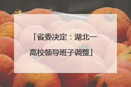 省委决定：湖北一高校领导班子调整