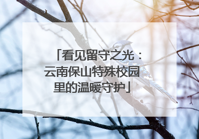 看见留守之光：云南保山特殊校园里的温暖守护