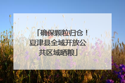 确保颗粒归仓！夏津县全域开放公共区域晒粮