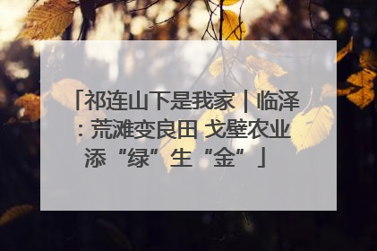 祁连山下是我家｜临泽：荒滩变良田 戈壁农业添“绿”生“金”