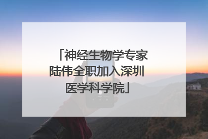 神经生物学专家陆伟全职加入深圳医学科学院