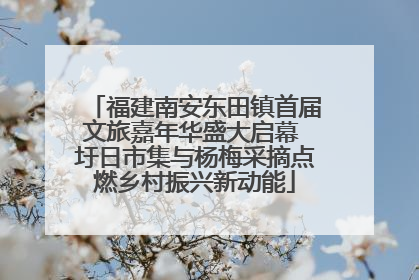 福建南安东田镇首届文旅嘉年华盛大启幕 圩日市集与杨梅采摘点燃乡村振兴新动能