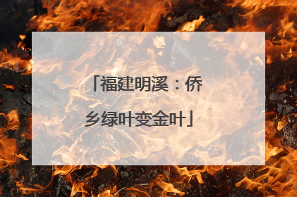 福建明溪：侨乡绿叶变金叶