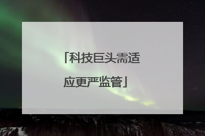 科技巨头需适应更严监管