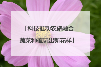 科技推动农旅融合 蔬菜种植玩出新花样