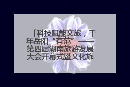 科技赋能文旅，千年岳阳“有范”——第四届湖南旅游发展大会开幕式暨文化旅游推介会侧记