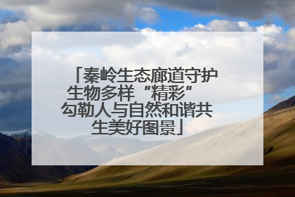 秦岭生态廊道守护生物多样“精彩” 勾勒人与自然和谐共生美好图景