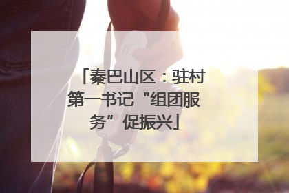 秦巴山区：驻村第一书记“组团服务”促振兴