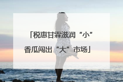 税惠甘霖滋润“小”香瓜闯出“大”市场